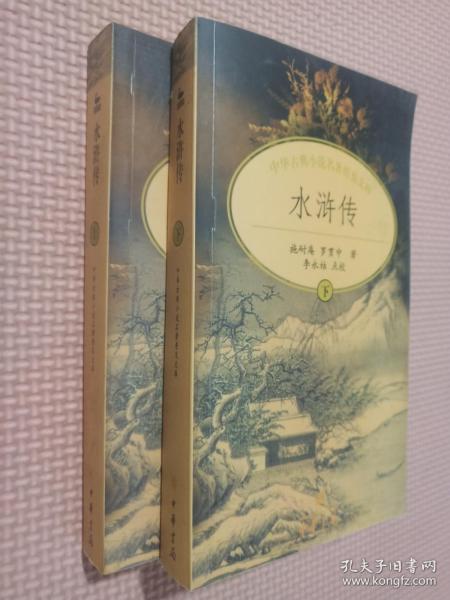 中华古典小说名著普及文库；水浒传（上下）