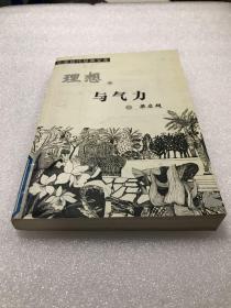 中国现代经典文库：理想与气力（梁启超著）