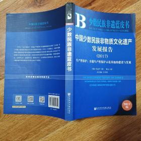 皮书系列·少数民族非遗蓝皮书：中国少数民族非物质文化遗产发展报告（2017）