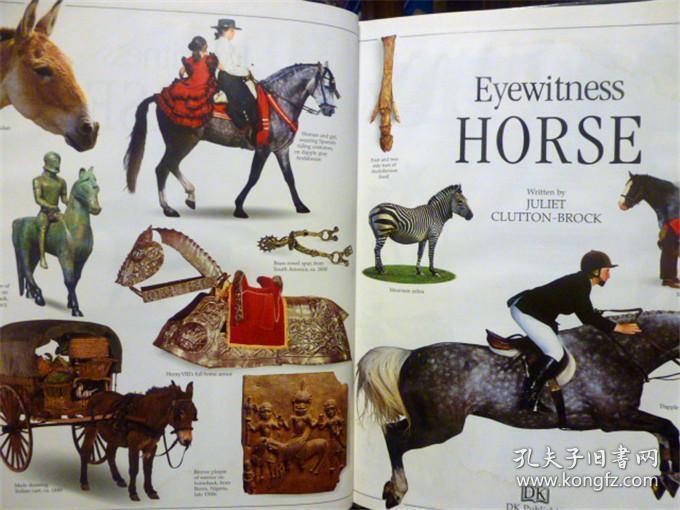 英文原版 少儿百科绘本 DK Eyewitness Books: Horse     马百科 （无CD）