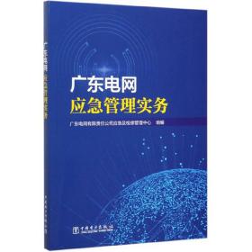 广东电网应急管理实务