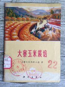 大寨玉米栽培