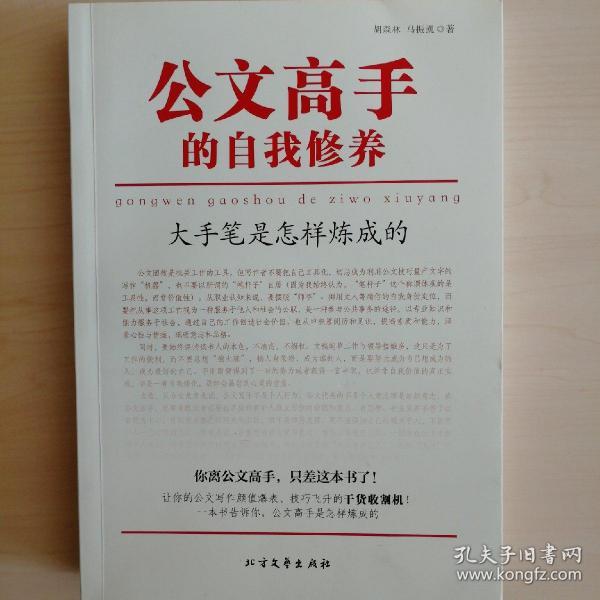 公文高手的自我修养：大手笔是怎样炼成的