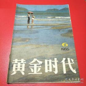 黄金时代杂志1985.6