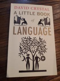 A Little Book of Language