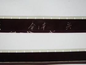 小熊猫当木匠 1983年全新16毫米国产动画片美术片彩色电影胶片拷贝1卷全