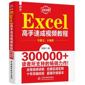 卢子Excel高手速成视频教程(全彩印刷)