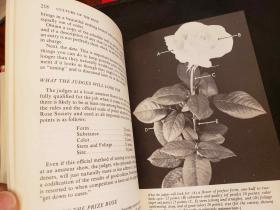 The Rockwells' Complete Book of Roses