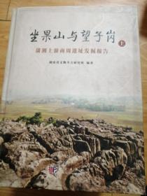 坐果山与望子岗——潇湘上游商周遗址考古发掘报告（上册）