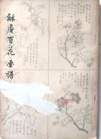 龢庵百花画集