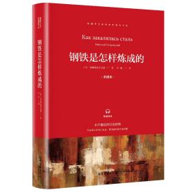 *统编语文教材指定阅读书系：钢铁是怎样炼成的