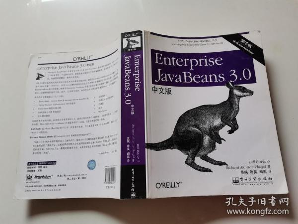 Enterprise JavaBeans 3.0中文版