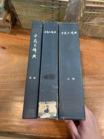 中药大辞典（全三册）含附编