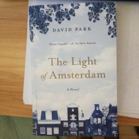 David Park The light of Amsterdam