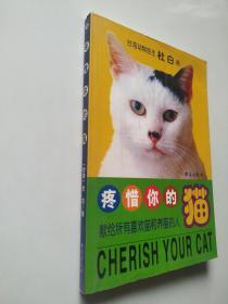 疼惜你的猫