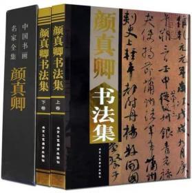 包邮正版 颜真卿书法集全2册16开精装铜版纸彩印 字帖碑文附释文 颜真卿书法作品集多宝塔碑颜勤礼碑寒食帖 中国书画名家全集