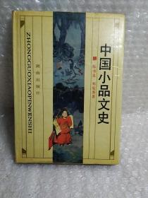 中国小品文史，精装，1版1印，印数1900册，