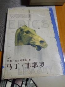 马丁·菲耶罗