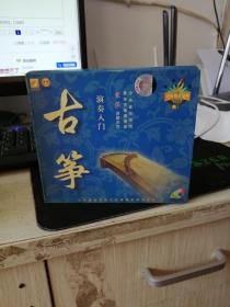 古筝演奏入门  袁莎 VCD2片装