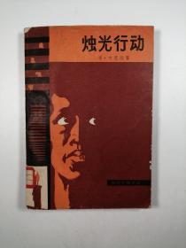 烛光行动（当代外国文学）