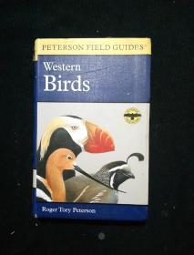Western Birds 西方的鸟类