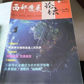 西部发展论坛(双月刊)  2013年第4期