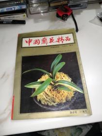 中国兰花精品——投资与栽培   （16开本，成都科技大学出版社，93年印刷）  内页干净。