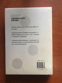 中国的新型正义体系：实践与理论（实践社会科学与中国研究·卷二）