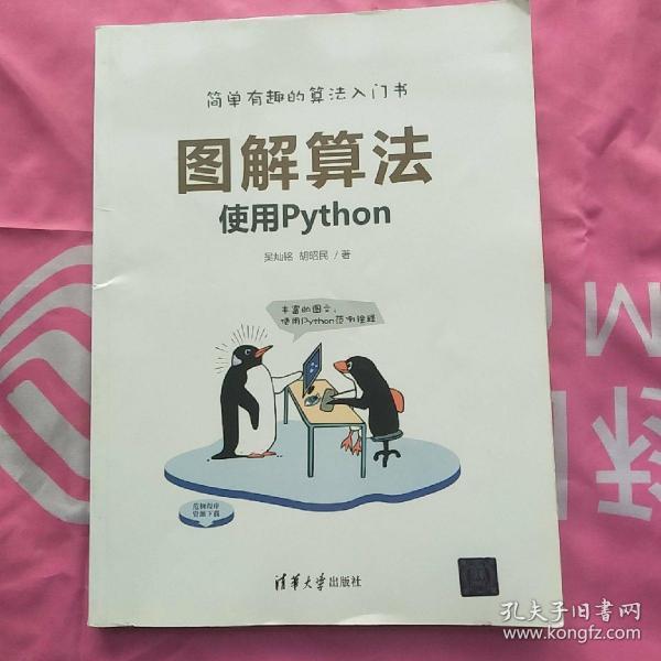 图解算法——使用Python