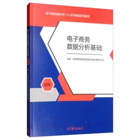 电子商务数据分析基础 初级