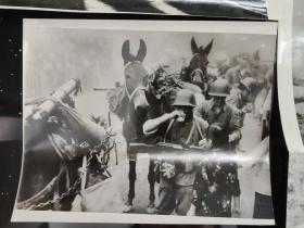 老照片： 新闻照片---三大战役时的一些珍贵影像照片    共23张合售      黑白照片箱 0006