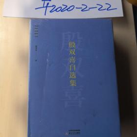 殷双喜自选集/中国当代艺术批评文库