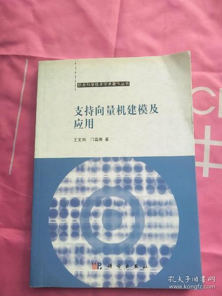 智能科学技术著作丛书：支持向量机建模及应用