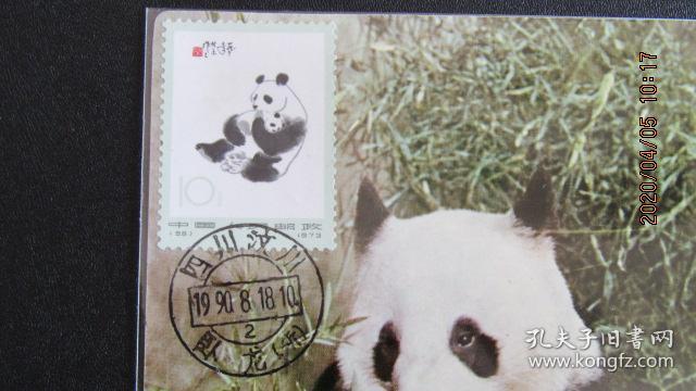 编号58-10分 大熊猫与幼崽极限片 80年代北京动物园片源 销卧龙戳