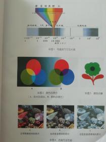 教育部人才培养模式改革和开放教育试点教材：实用心理学（第2版）