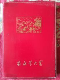 老日记本（农业学大寨）70年