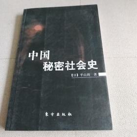 中国秘密社会史