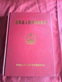 宜阳县人民代表大会志2001～2011