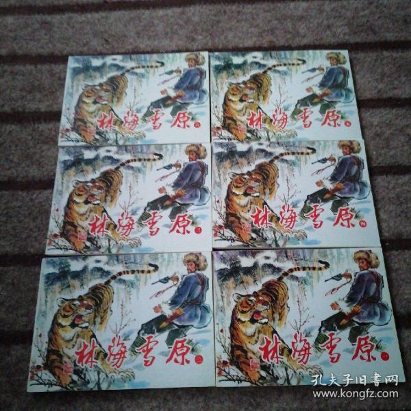 北京小学生连环画：林海雪原  1-6全