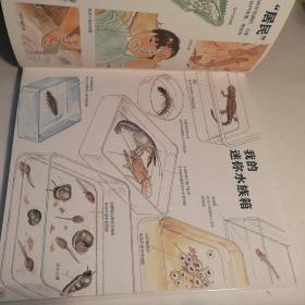 我的收藏：寻找大自然的宝藏