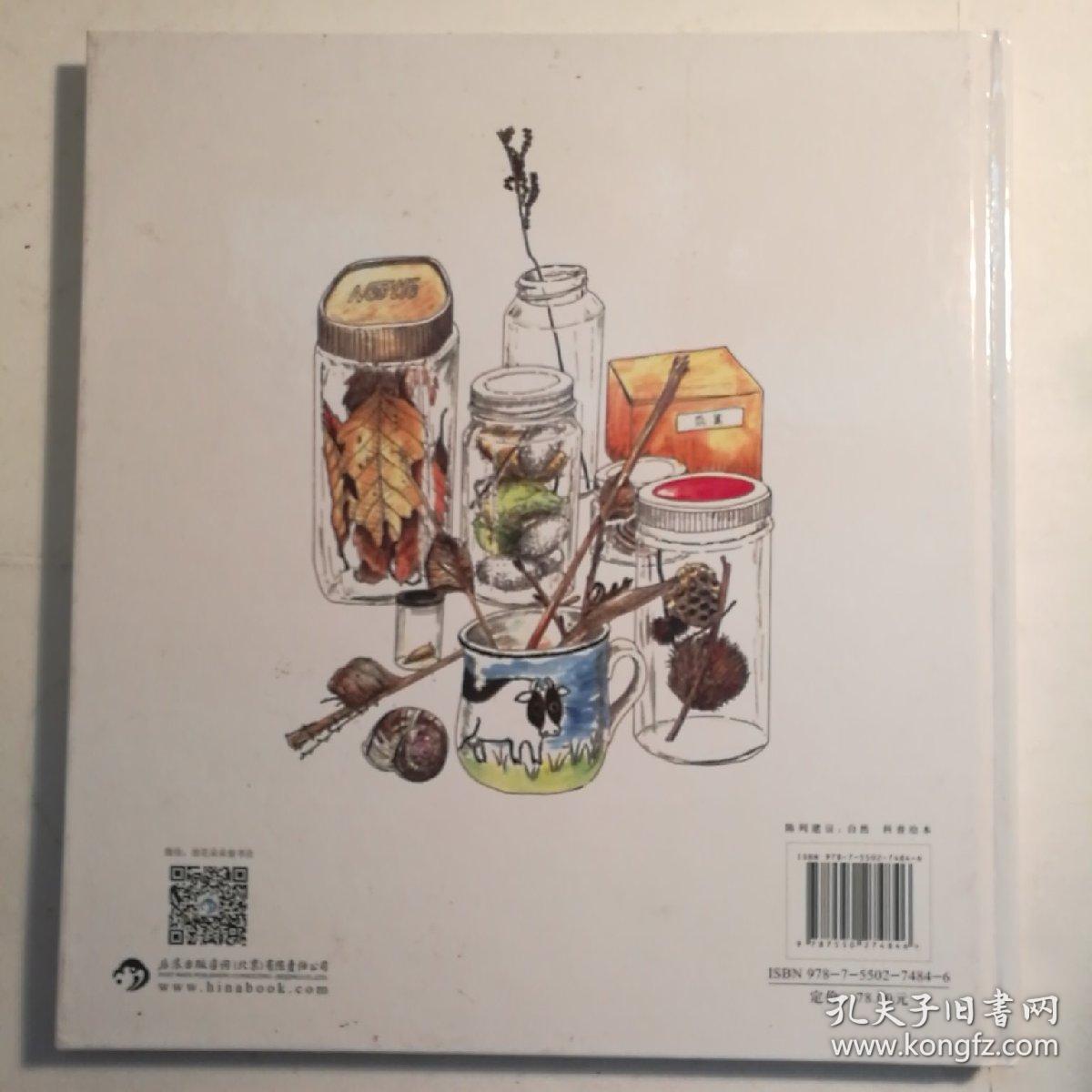 我的收藏：寻找大自然的宝藏