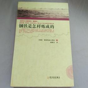 全球百大名著系列：钢铁是怎样练成的（插图本）