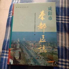 咸阳市秦都区志