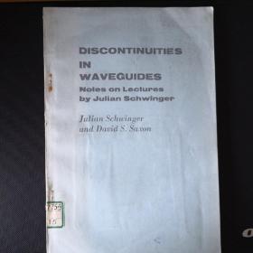 Discontinuities  in Waveguides