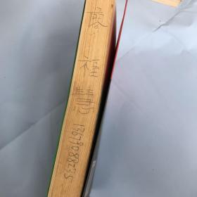 全息经络刮痧法