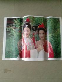 二开摄影年画：花开并蒂日日红。天津杨柳青画社出版。