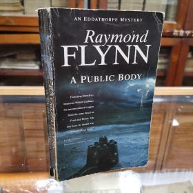 a public body by Raymond Flynn