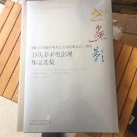 烟台市庆祝建国60周年书法美术摄影展作品集（书法、美术、摄影共3卷，大尺寸画册，带外函套）