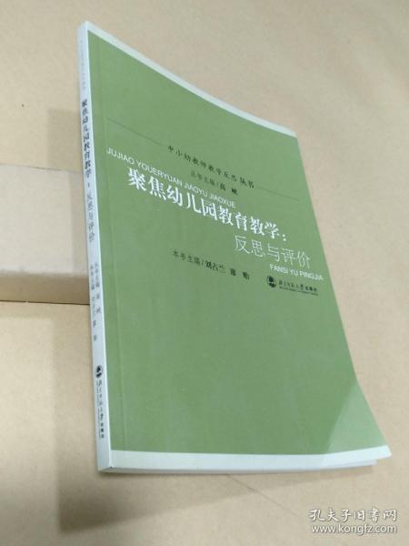 聚焦幼儿园教育教学：反思与评价