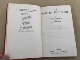 劳伦斯小说：The Boy in the Bush